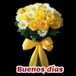 flores。    