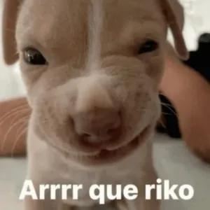 Arrrr que riko - getsticker.com