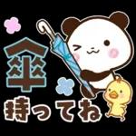 パンダ＆ひよこ 梅雨・夏