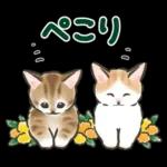 夏の毎日☆猫たちのスタンプ２