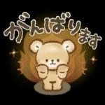 秋冬❤️くまの日常♪