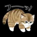 あけおめにゃん午