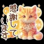 毎日送りやすい茶トラのスタンプ♡