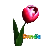Bom dia