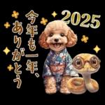 午年2026年！プードルとうまの年末年始