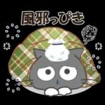 黒ねこの秋・冬便り