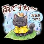 ずっと使える♪猫たちの日常