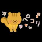 大人かわいい✳︎優しい秋色&気遣い