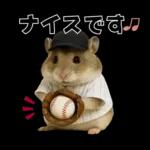 【新】リアル野球ハムスター