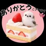 とってもかわいい♡シマエナガちゃん