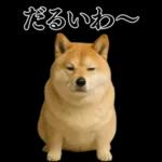 ガンギマリの柴犬＠エロ・日常会話