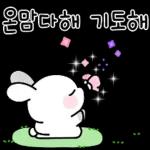 응원토끼 하루가 너의 하루를 응원해