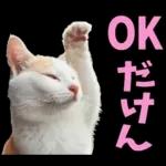 島根出雲弁☆にゃんこ