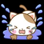 子犬と子猫の春スタンプ