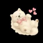 もふもふ【愛されサモエド】