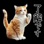 リアルな猫の敬語