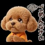 一年中使えることば集☆トイプードル