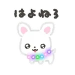 ぴかぴかわんわん
