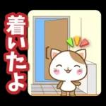 子犬と子猫の春スタンプ