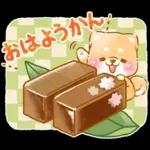 和菓子で敬語❤️いやしばいぬ❤️柴犬