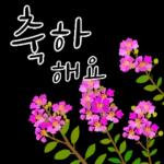 다정한 꽃편지 인사