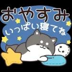飛びだす！お返事シバイヌくん（雨の日）