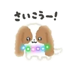 ぴかぴかわんわん