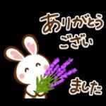 夏間近❣ハート耳のうさぎさん