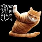 生成失敗猫【毒舌・煽り・煽る・シュール】