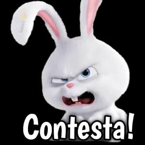 Contesta! - getsticker.com