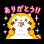 まんまるラスカル☆ヘルシーになろう