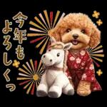 午年2026年！プードルとうまの年末年始