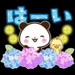 パンダ＆ひよこ 梅雨・夏