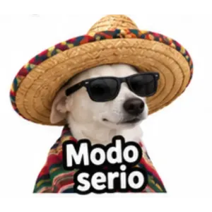 Modo serio - getsticker.com