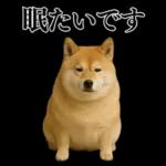 ガンギマリの柴犬＠エロ・日常会話