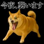 ガンギマリの柴犬＠エロ・日常会話