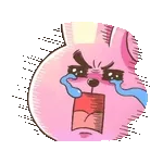 주변 사람 다 모르는 그 집