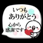 毎日しろちゃん22❤敬語・長文