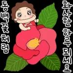 아포이아포이2026 TOP 이동  관심 오여사의 멋진 인생