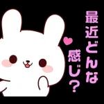 連絡白うさちゃん