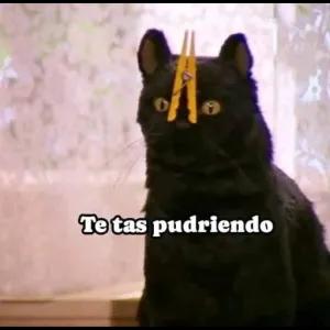 Te tas pudriendo - getsticker.com