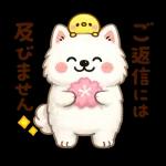 かわいいサモエド・元気いっぱいの春