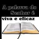Você é só meu