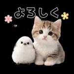 仲良し♡シマエナガと子猫ちゃん