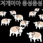 호기심 많은 소