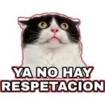 YA NO HAY RESPETACION