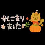 大人かわいい✳︎優しい秋色&気遣い