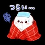 シマエナガたちの冬♪