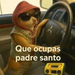 todos 