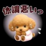 【秋冬】ずっと使える❤️日常会話 トイプー